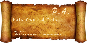 Puia Anasztázia névjegykártya